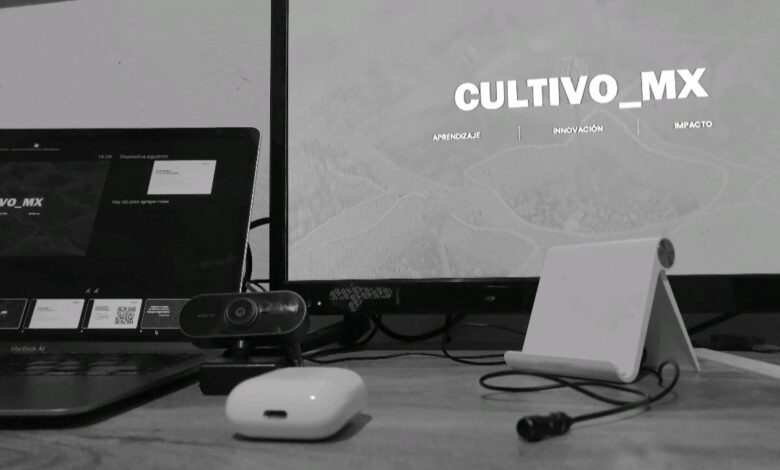 Cultivo MX (cortesía)