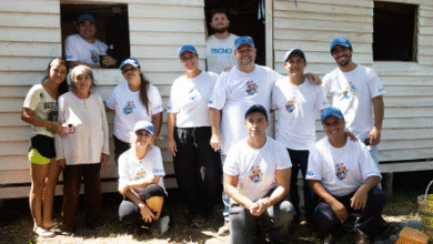 Softys Softys Autor/copyright: Softys