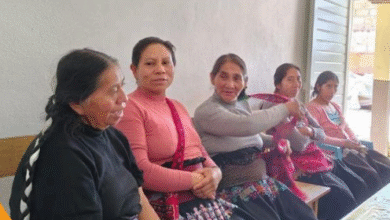 Colectivo Feminista Mercedes Olivera A.C. (COFEMO) - Fuente: Nuup