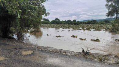 Cortesía de Ponterra México
