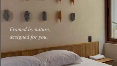 Casa Xaviera (Instagram)