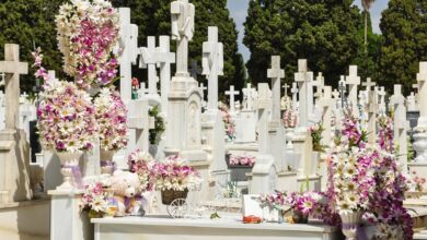 App Geneagraves Autor/copyright: Geneanet