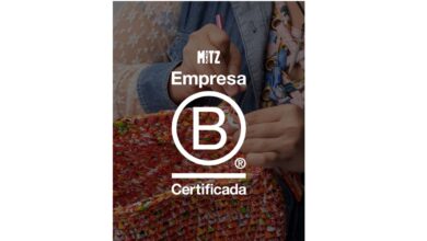 Fuente: Mitz (LinkedIn)