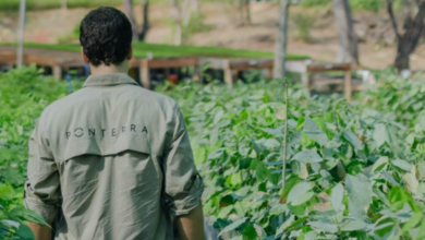 Fuente: ponterra.eco