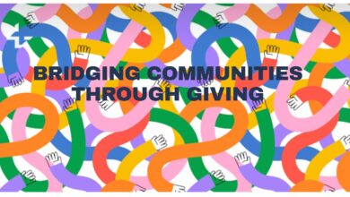 Fuente: impactbridgesfoundation.org