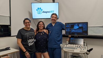 Equipo fundador: Soledad Alborno, Fernanda Barbero y Nicolás Alborno